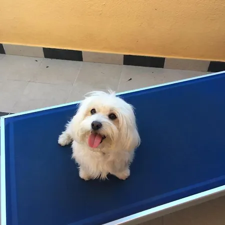 Bed & Breakfast Sand'ana House