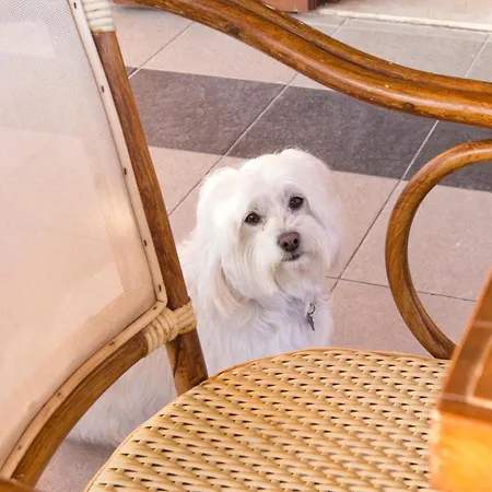 Bed & Breakfast Sand'ana House