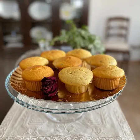 住宿加早餐酒店 Sand'ana House